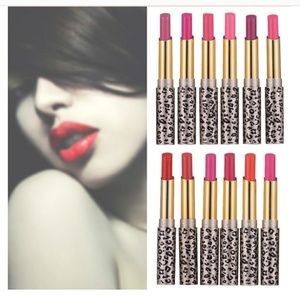 💄Lip Stix Set (12 diff shades)